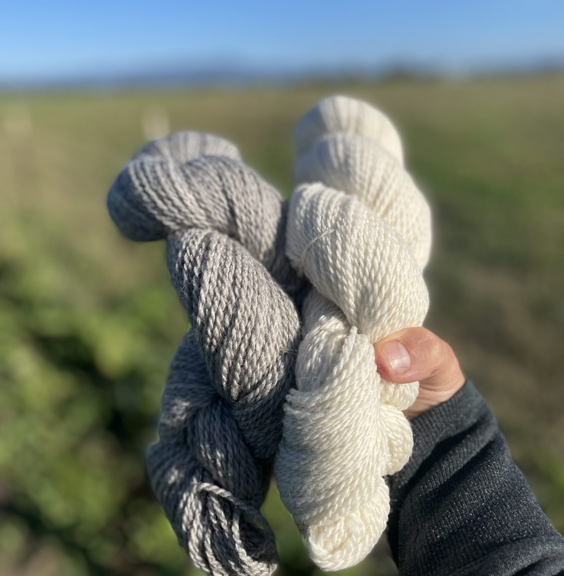 Fromage-Worsted *Climate-Friendly Fiber*